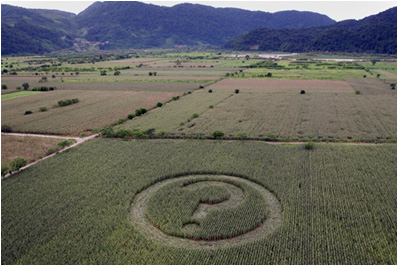 Mexico crop circle